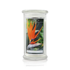 Bird of Paradise Soy Candle