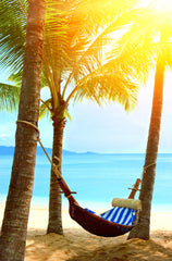 Tropical Getaway 2 Pack Car Air Freshener Tropical Getaway 2 Pack Car Air Freshener
