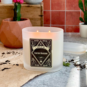 Cactus Blossom Frosted Oval Glass Soy Candle